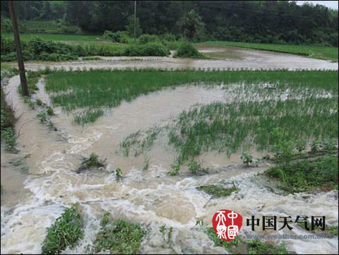 浙江暴雨天气