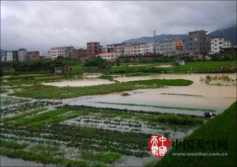 福建2014年台风