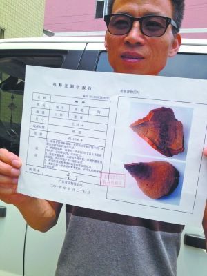 车主倒车撞烂古董 路虎车主被索赔2000万