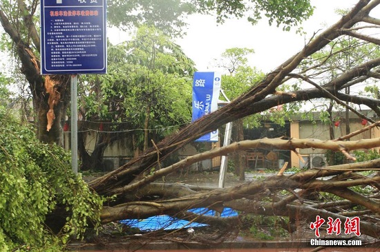 广西台风过后街头一片狼藉