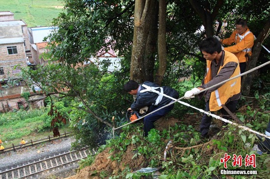 广西台风过后街头一片狼藉