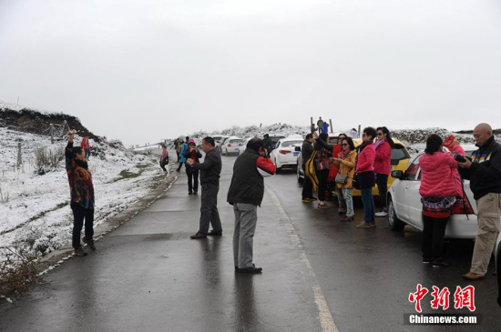 四川阿坝州红原大草原下雪了