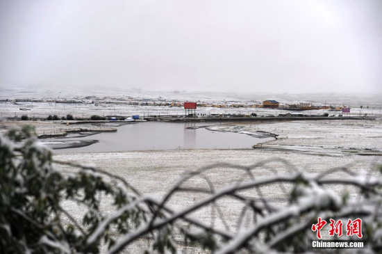 四川阿坝州红原大草原下雪了