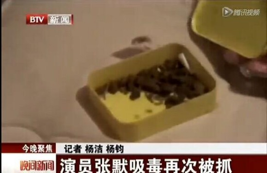 张国立之子张默被批捕