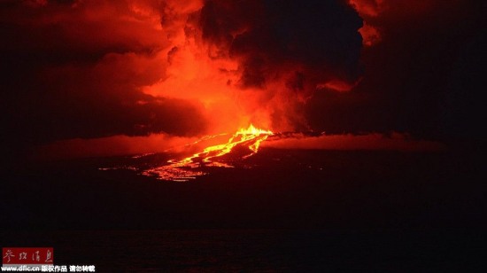 厄瓜多尔沃尔夫火山喷发