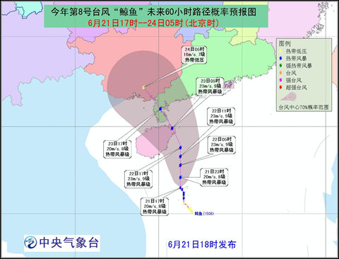 台风鲸鱼路径预报图