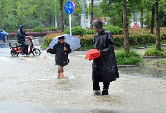 江苏扬州遭遇暴雨：扬州暴雨公路捞鱼。