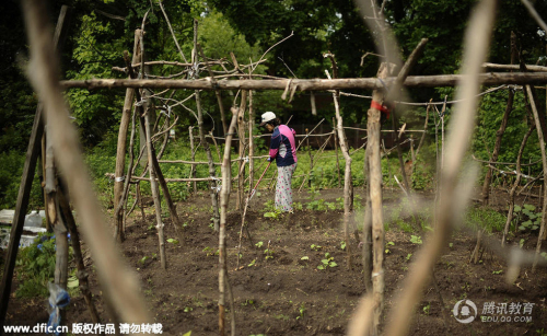 中国家长在耶鲁大学种菜