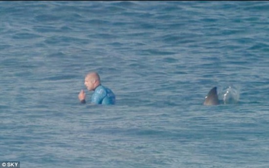 世界冲浪冠军赛选手遭鲨鱼袭击勇敢逃生