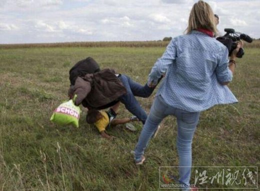 女记者绊倒难民图片