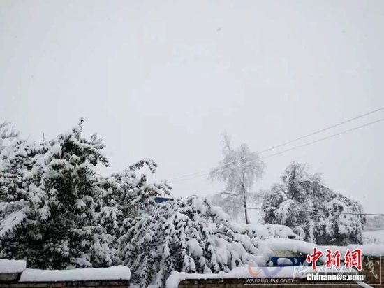 新疆北疆山区降雪