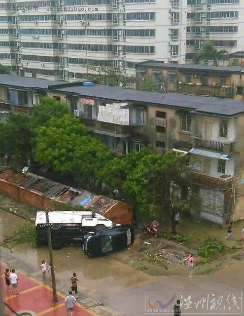 湛江成台风重灾区