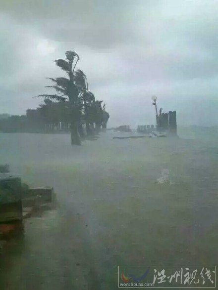 湛江台风灾情非常严重