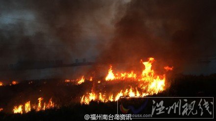 浦上大桥下  乌龙江边草地大火