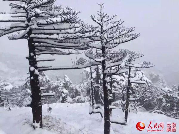 云南多地十月降雪