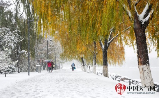 延庆暴雪