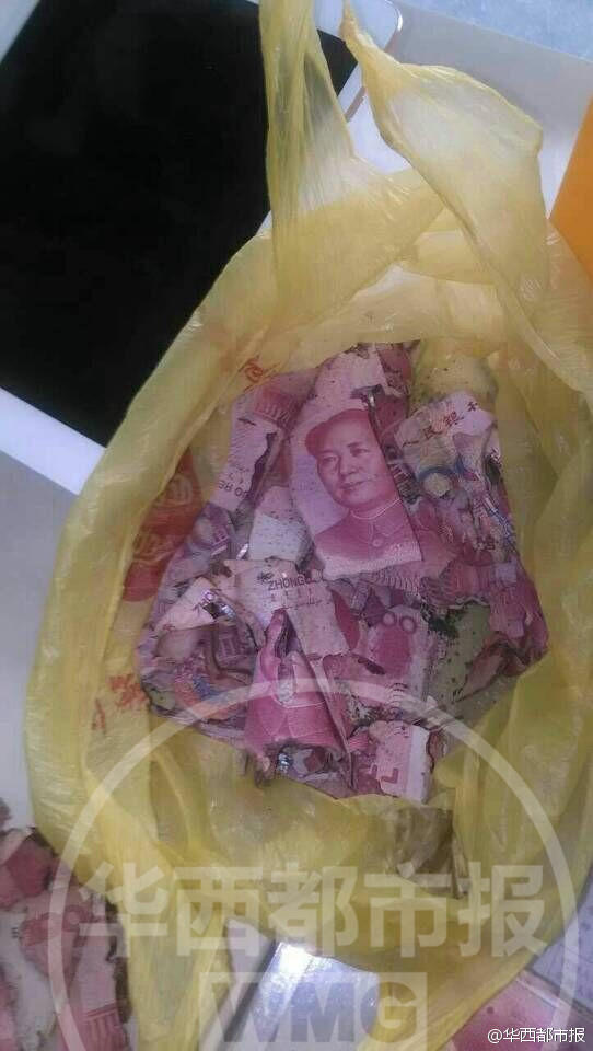 大爷现金埋地下