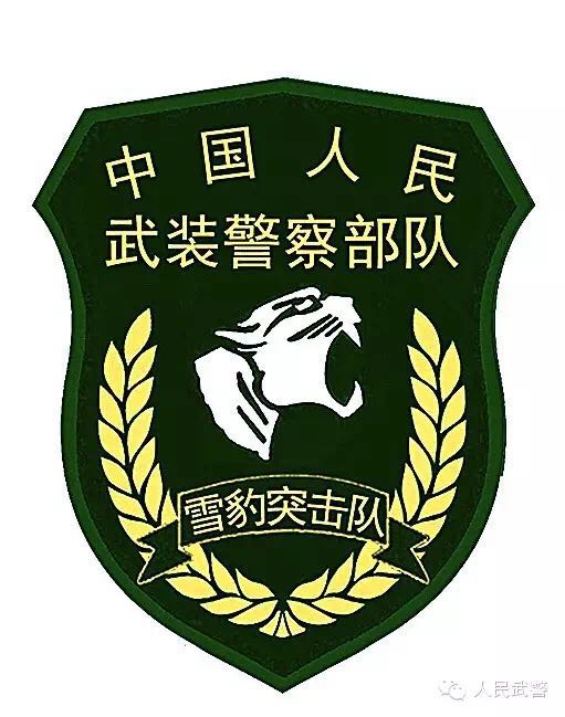 武警更换标志服饰