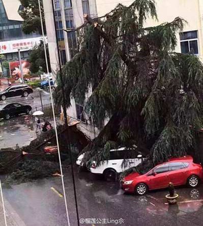 浙江北部遭遇冰雹袭击 大风压坏汽车