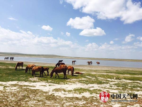 内蒙古多地最高温度超过40℃