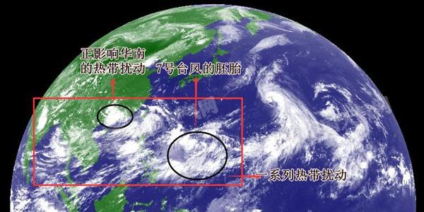 台风网预报未来10天可能有3个台风