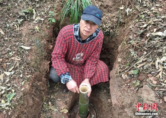 老人藏山里造古琴