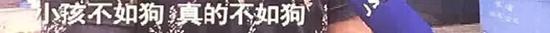 儿子被咬摔死泰迪 爱狗人士杀人