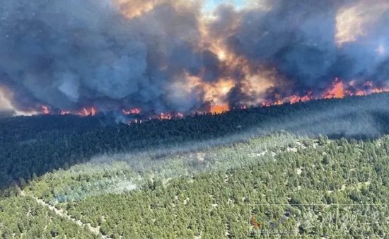 加拿大森林火灾 15小时内火云引发710117次雷击引发火灾