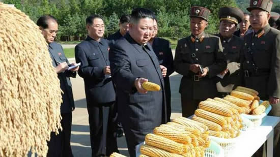 金正恩承认朝鲜严重缺粮
